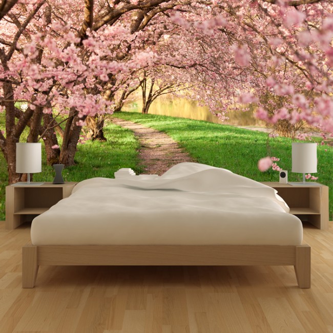 Cherry Blossom Path Wallpaper Wall Mural