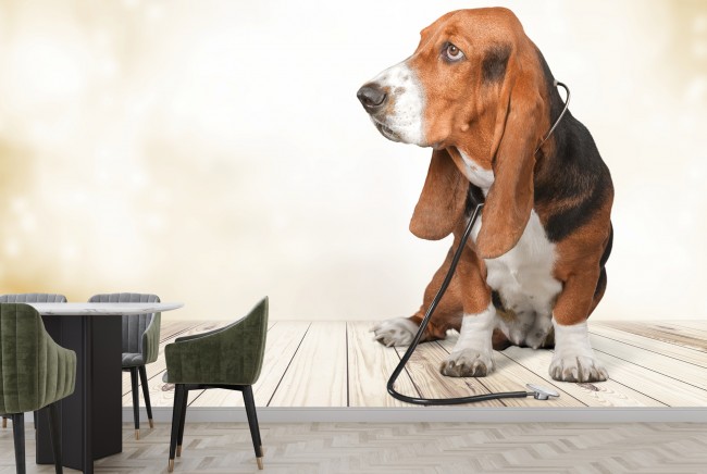 Doctor Basset Hound Wallpaper Wall Mural