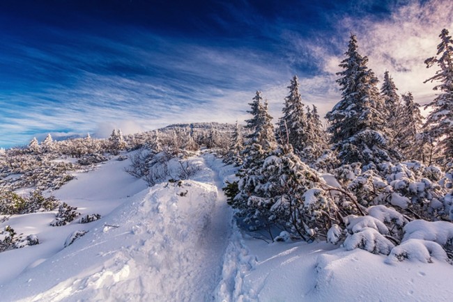 Snowy Mountains Wallpaper Wall Mural