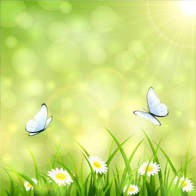 Daisy Butterfly Wallpaper Wall Mural