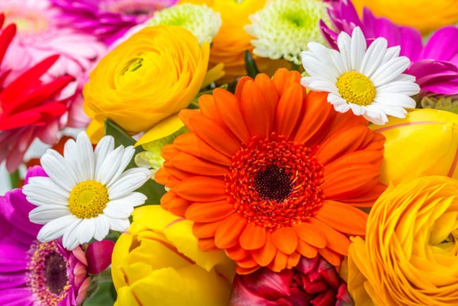 Summer shop flowers wallpaper