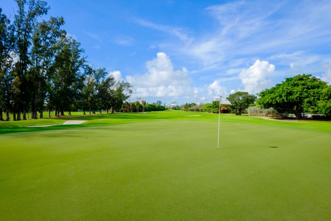 Golf Course Wallpaper Wall Mural