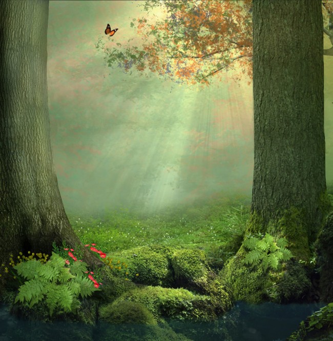 Enchanted Forest Wall Mural Butterfly Tree Wallpaper Girls