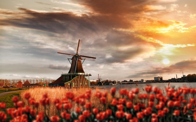 Dutch Windmill Wallpaper Wall Mural