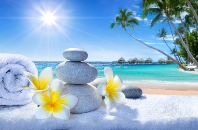 Flowers Pebbles Beach Wallpaper Wall Mural Favorite albums of wallpaper, download history, participation in moderation, and. flowers pebbles beach wallpaper wall mural