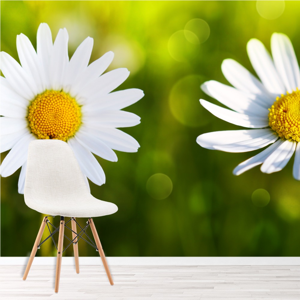Daisy Flowers Wall Mural Fl Panoramic Wallpaper Living Room Daisy Flowers Wall Mural Fl Panoramic Wallpaper Living Room Photo Home Decor