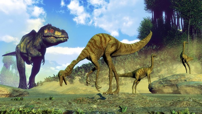 T Rex Gallimimus Dinosaur Wallpaper Wall Mural You can also upload and share your favorite dinosaurus t rex wallpapers. t rex gallimimus dinosaur wallpaper wall mural