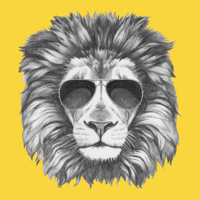 Cool Lion Wallpaper Wall Mural