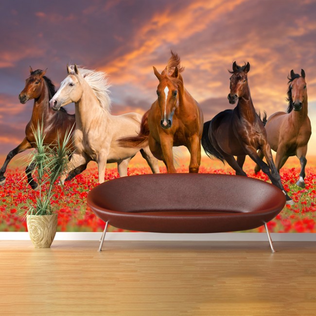 Poppy Horses Wallpaper Wall Mural