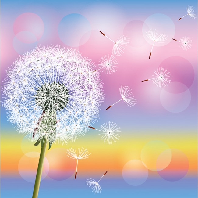 Dandelion Rainbow Wallpaper Wall Mural