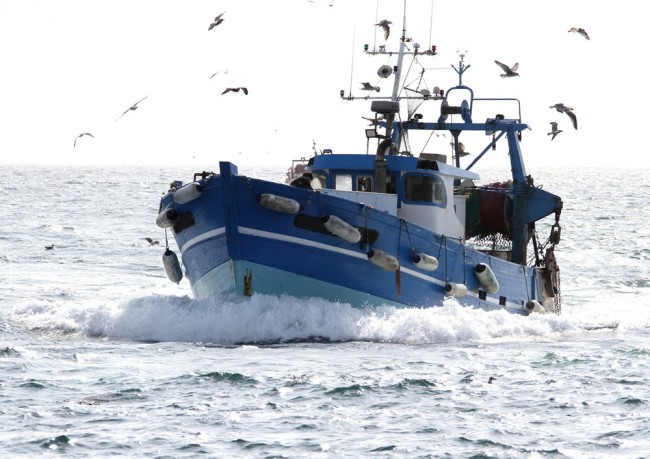Fishing Boat Ocean Sea Wallpaper Wall Mural