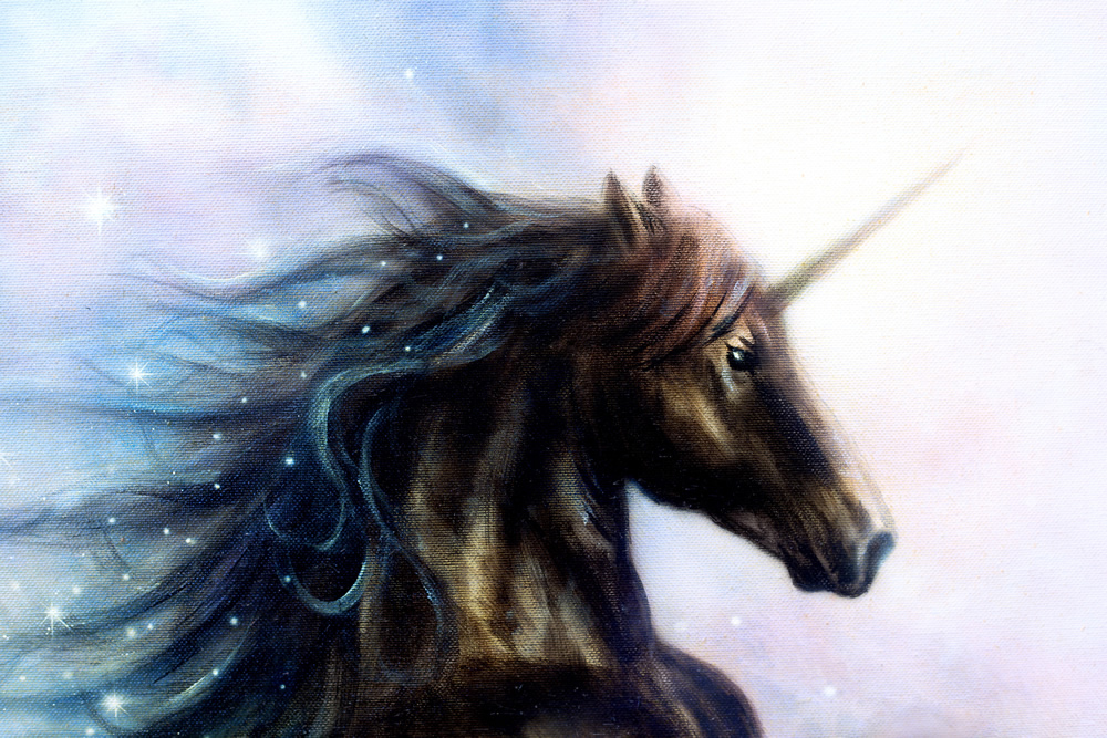 Black Unicorn Fairytale Wallpaper Wall Mural