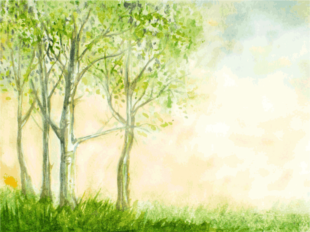 Green Birch Trees In Spring Watercolour Wallpaper Wall Mural