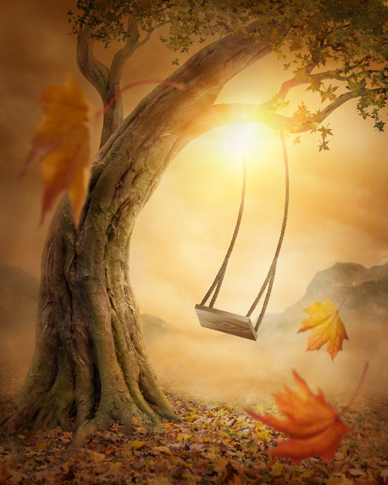 Forest Swing In Autumn Wallpaper Wall Mural
