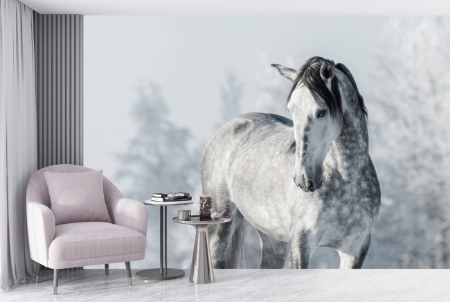 Grey Spanish Thoroughbred Horse Wallpaper Wall Mural