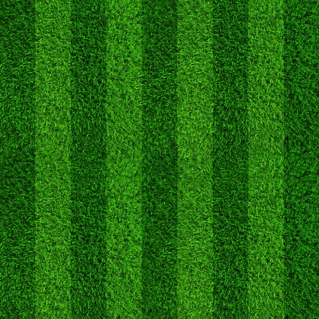 Grass wallpaper shop