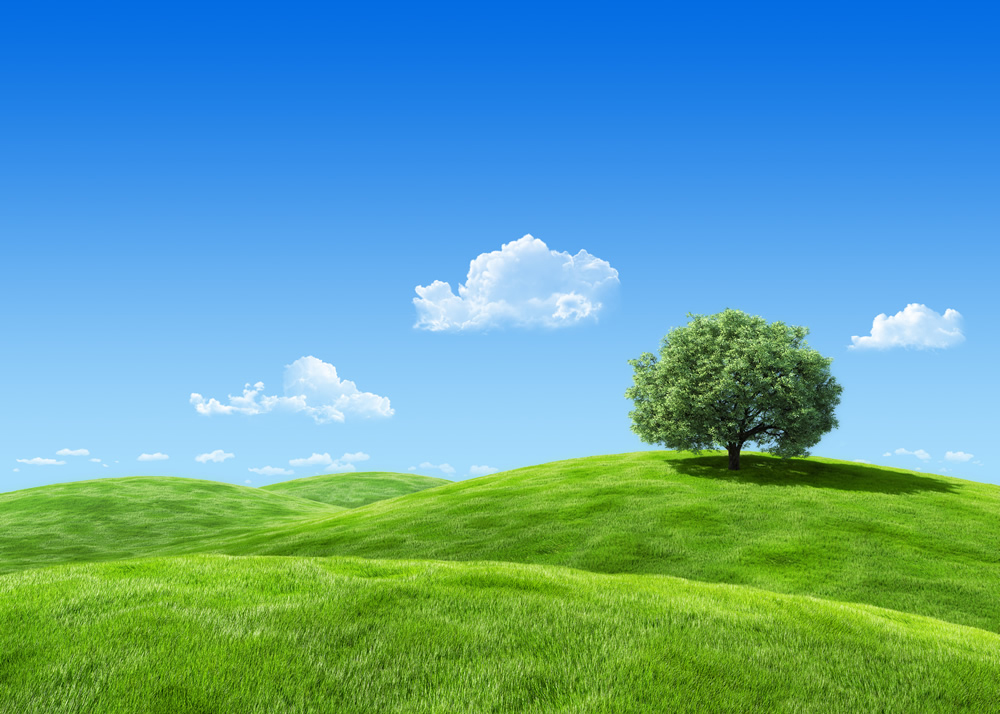 Green Meadow Blue Sky Wallpaper Wall Mural