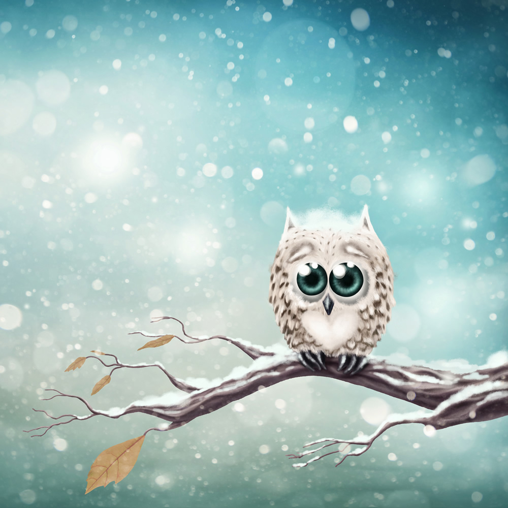 Winter Owl Snow Tree Wallpaper Wall Mural