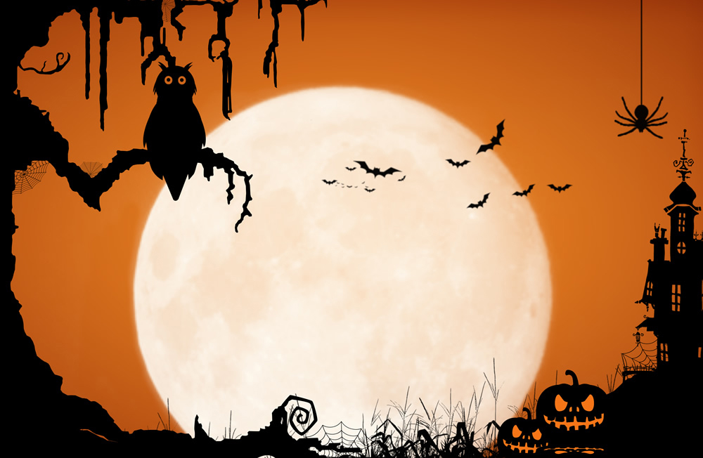Full Moon Halloween Wallpaper Wall Mural