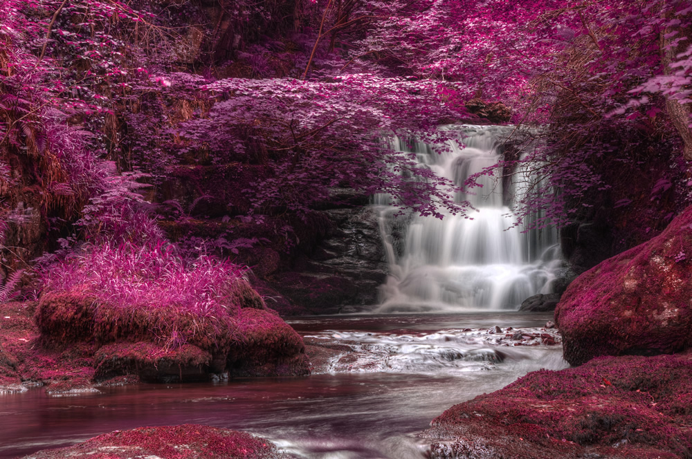 Pink Enchanted Forest Waterfall Wallpaper Wall Mural