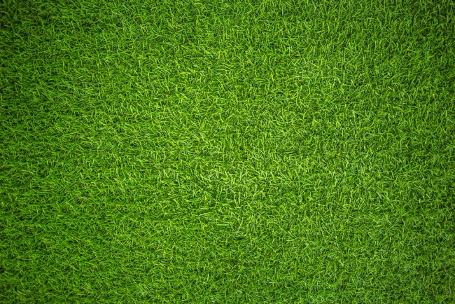 grass turf artificial astroturf field za