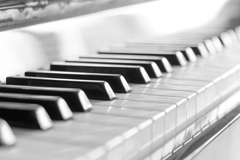 Piano Keys Wallpaper Wall Mural Find best piano wallpaper and ideas by device, resolution, and quality (hd, 4k) from a curated website list. piano keys wallpaper wall mural