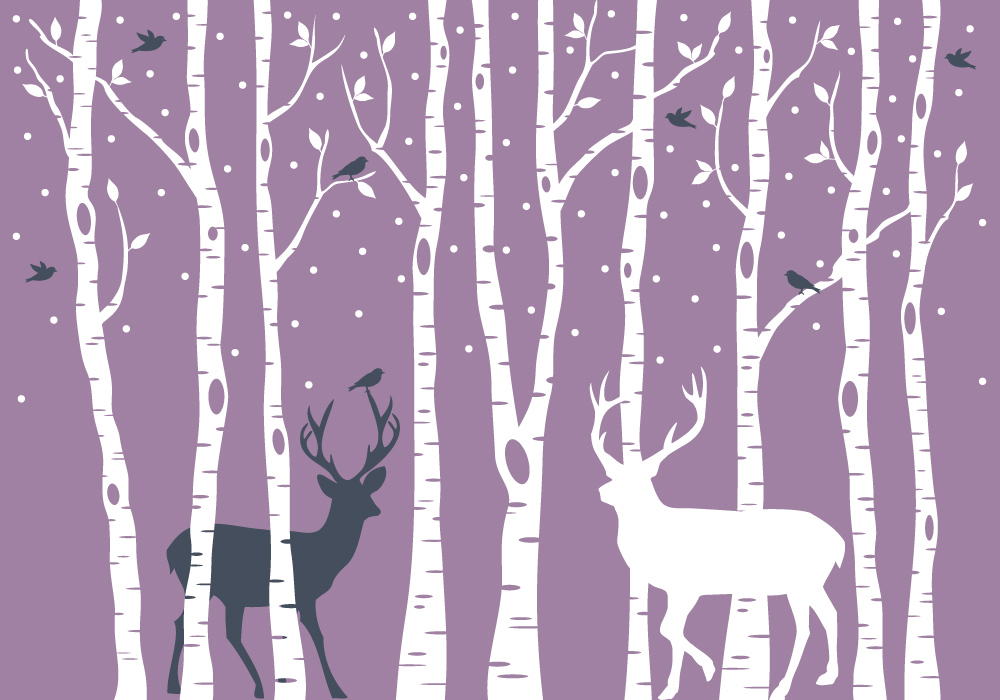 Birch Trees Lavender Purple Forest Wallpaper Wall Mural A wide variety of lavender purple flowers options are available to you, such as occasion, type. birch trees lavender purple forest wallpaper wall mural