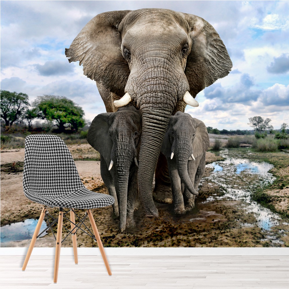 Grey Elephants Wild Animals Wallpaper Wall Mural