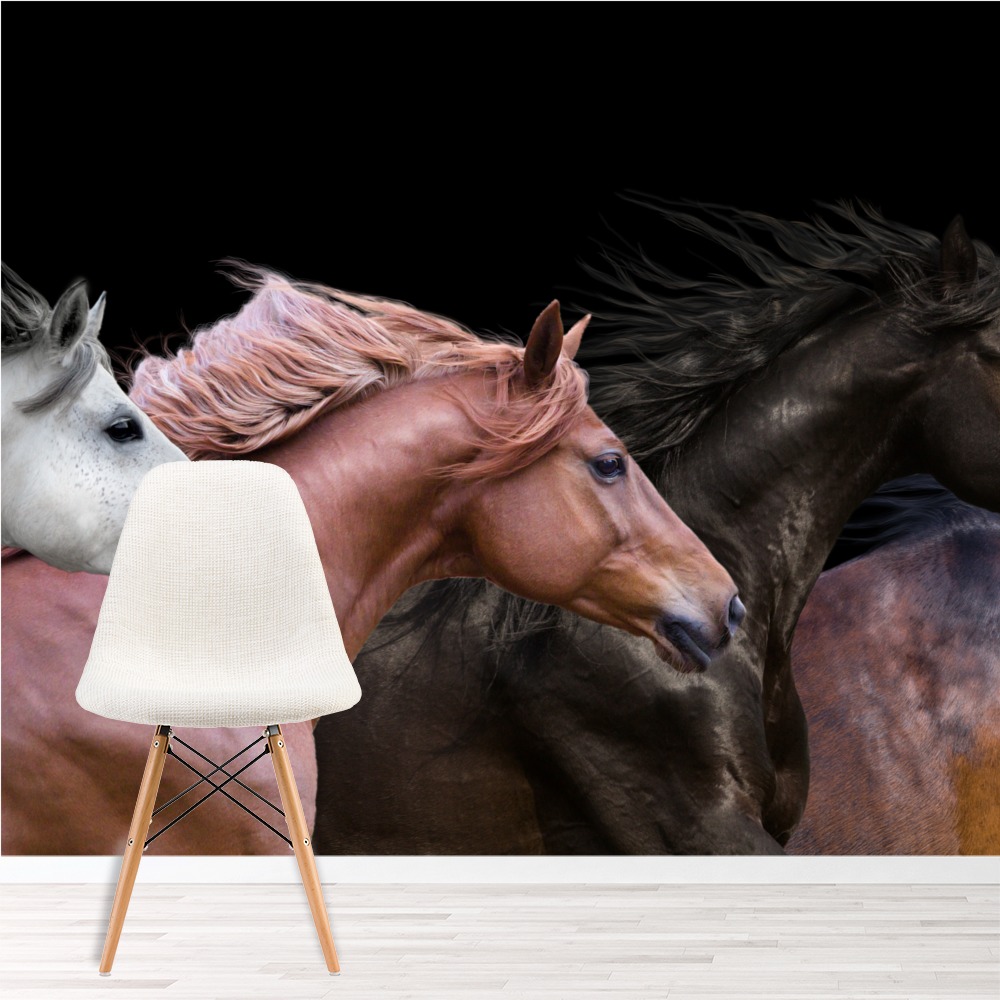 Beautiful Horses Panoramic Wallpaper Wall Mural