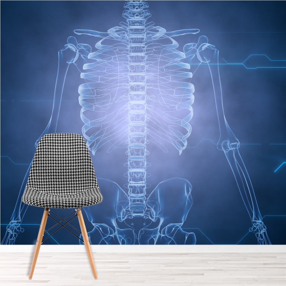 X-Ray Skeleton Biology Science Wallpaper Wall Mural