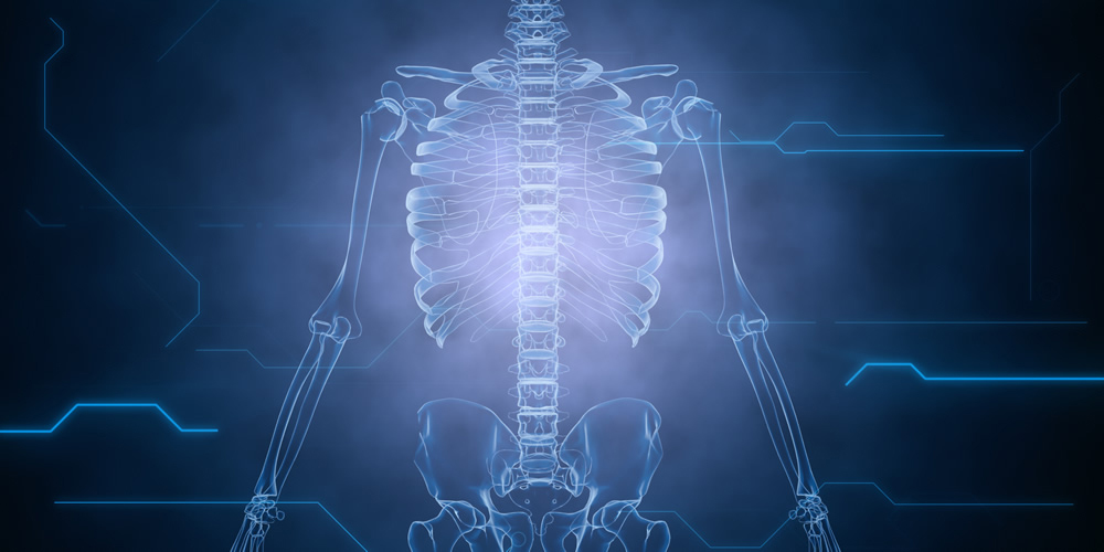 x ray skeleton biology science wallpaper wall mural