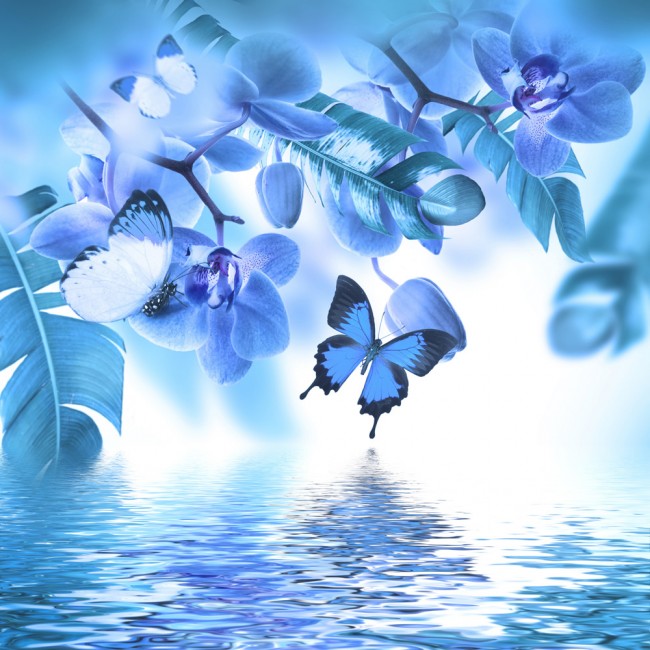 Blue Orchid Flower Butterfly Wallpaper Wall Mural