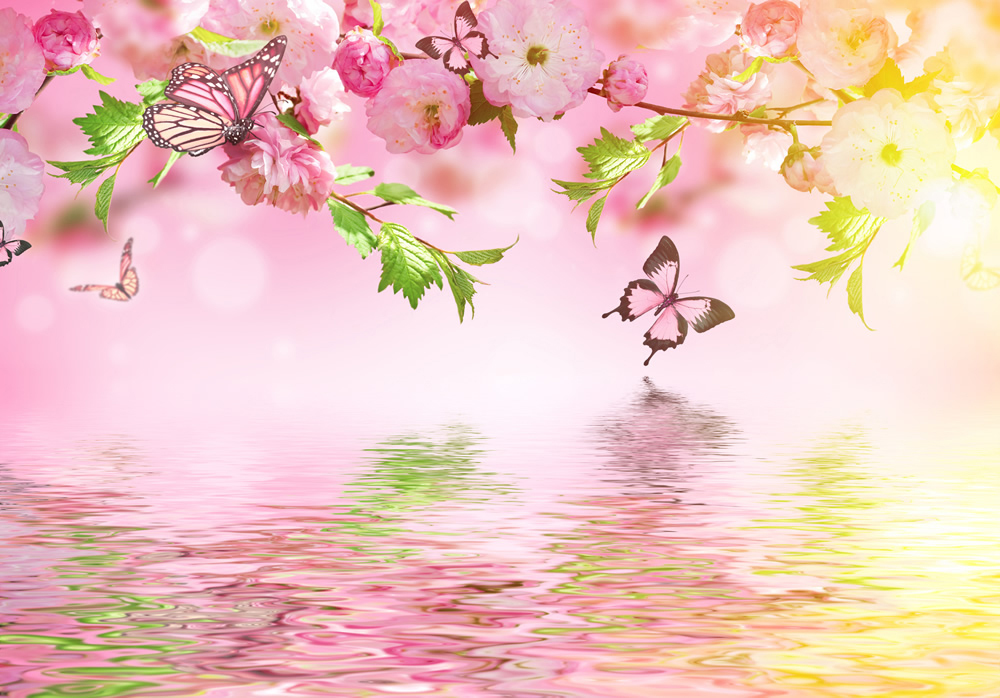 Pink Spring Flowers Butterfly Wallpaper Wall Mural