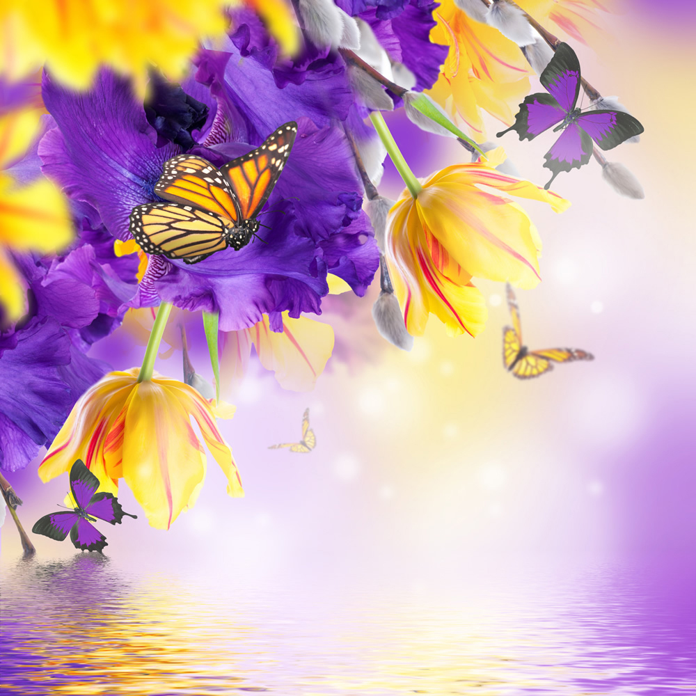 Floral Butterfly On Purple Flowers Wallpaper Wall Mural