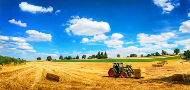 Harvest Time Farm Tractor Wallpaper Wall Mural