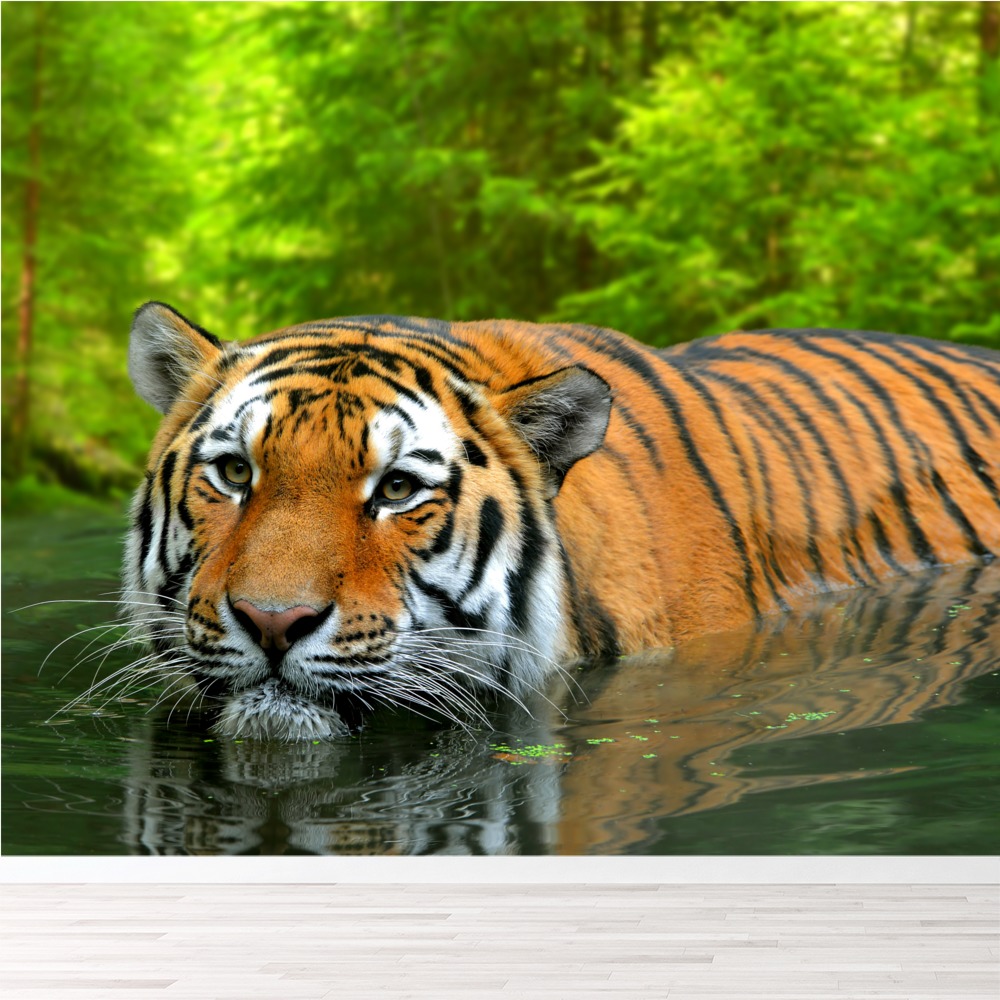 Jungle Tiger Wallpaper Wall Mural