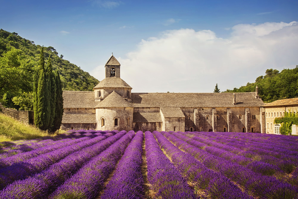 Senanque Abbey Lavender Field France Wallpaper Wall Mural Kyle xy with jean luc bilodeau wallpaper for 360x640. senanque abbey lavender field france wallpaper wall mural