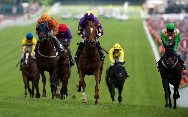 Horse racing shop wallpaper