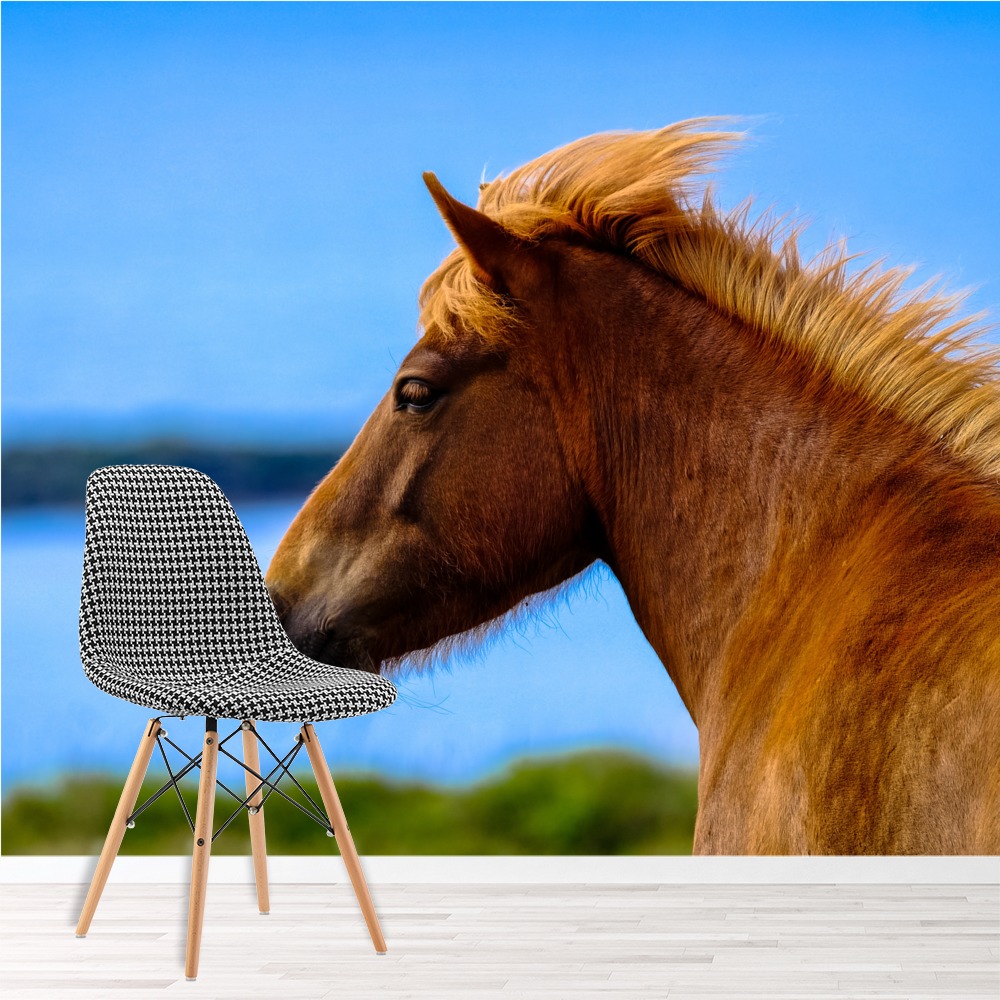 Brown Horse Wallpaper Wall Mural