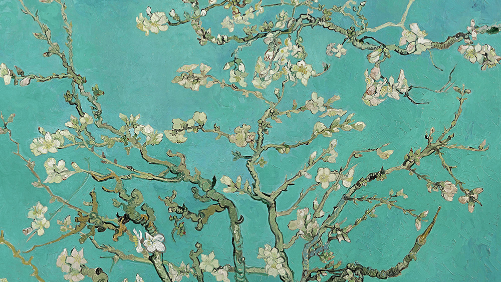almendro en flor van gogh