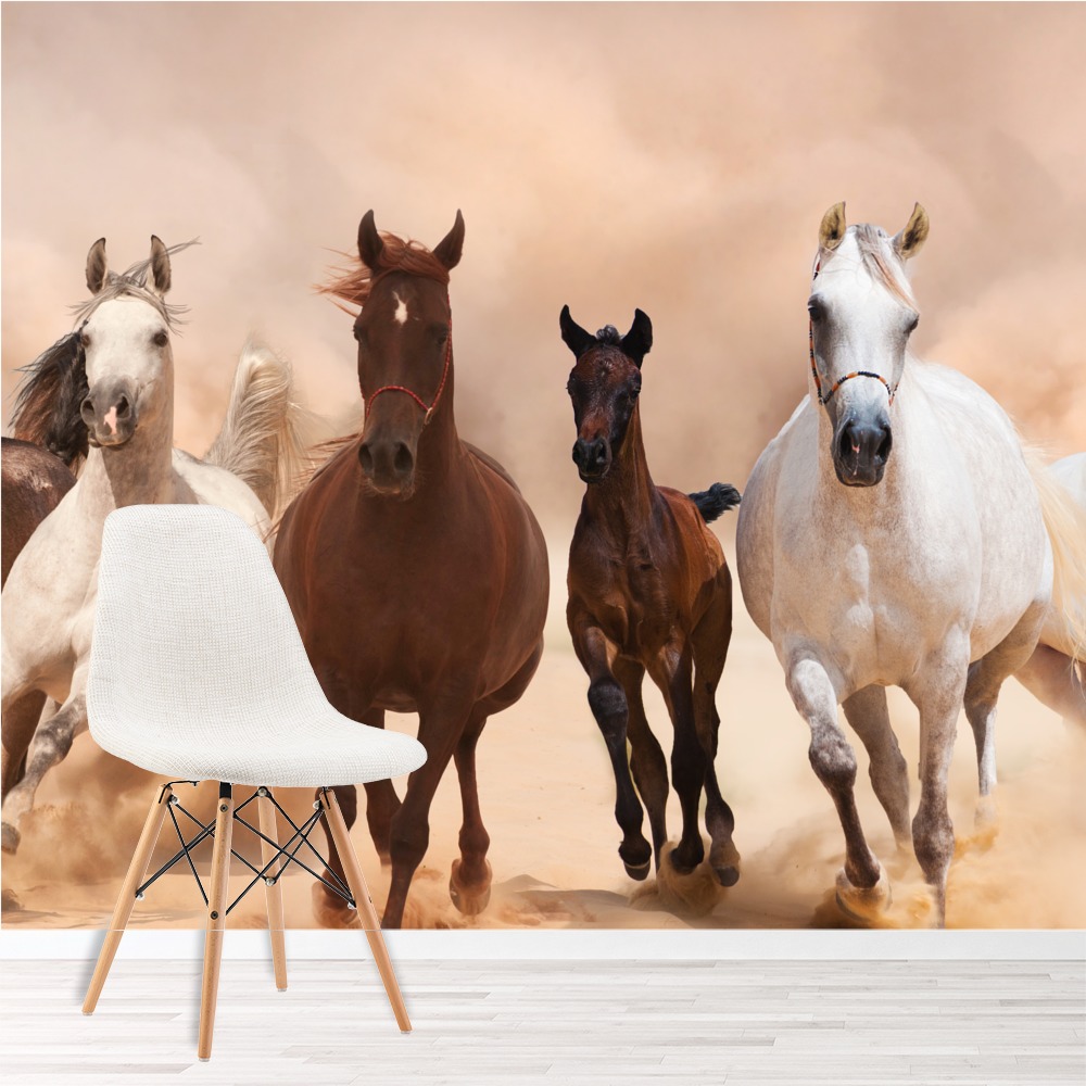 Wild Horses Panorama Wallpaper Wall Mural