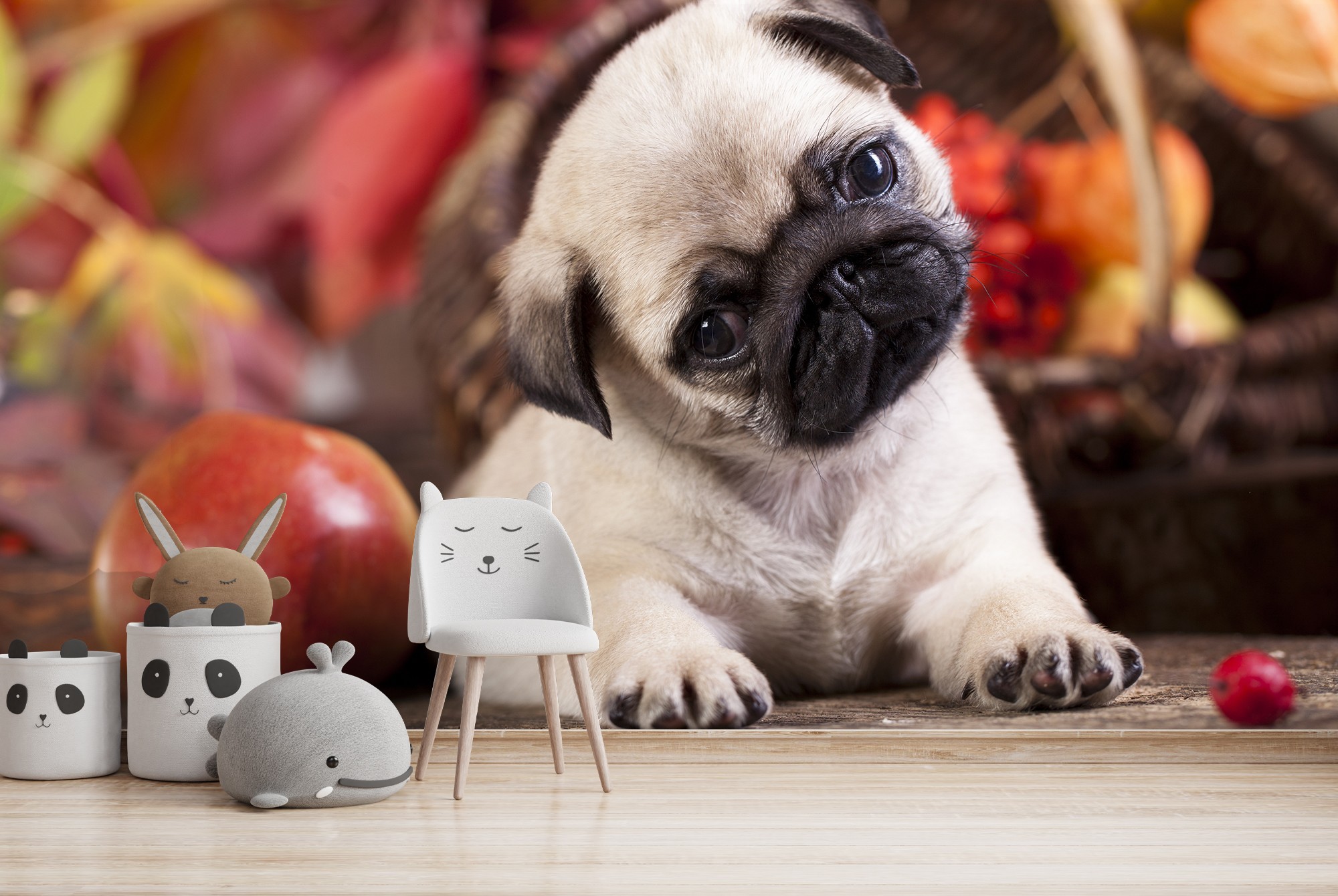 Pug Puppy Wallpaper Wall Mural