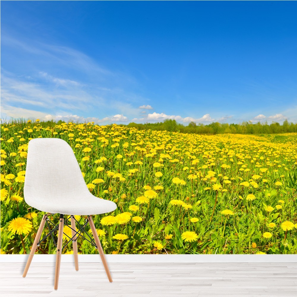 Dandelion Field Wallpaper Wall Mural