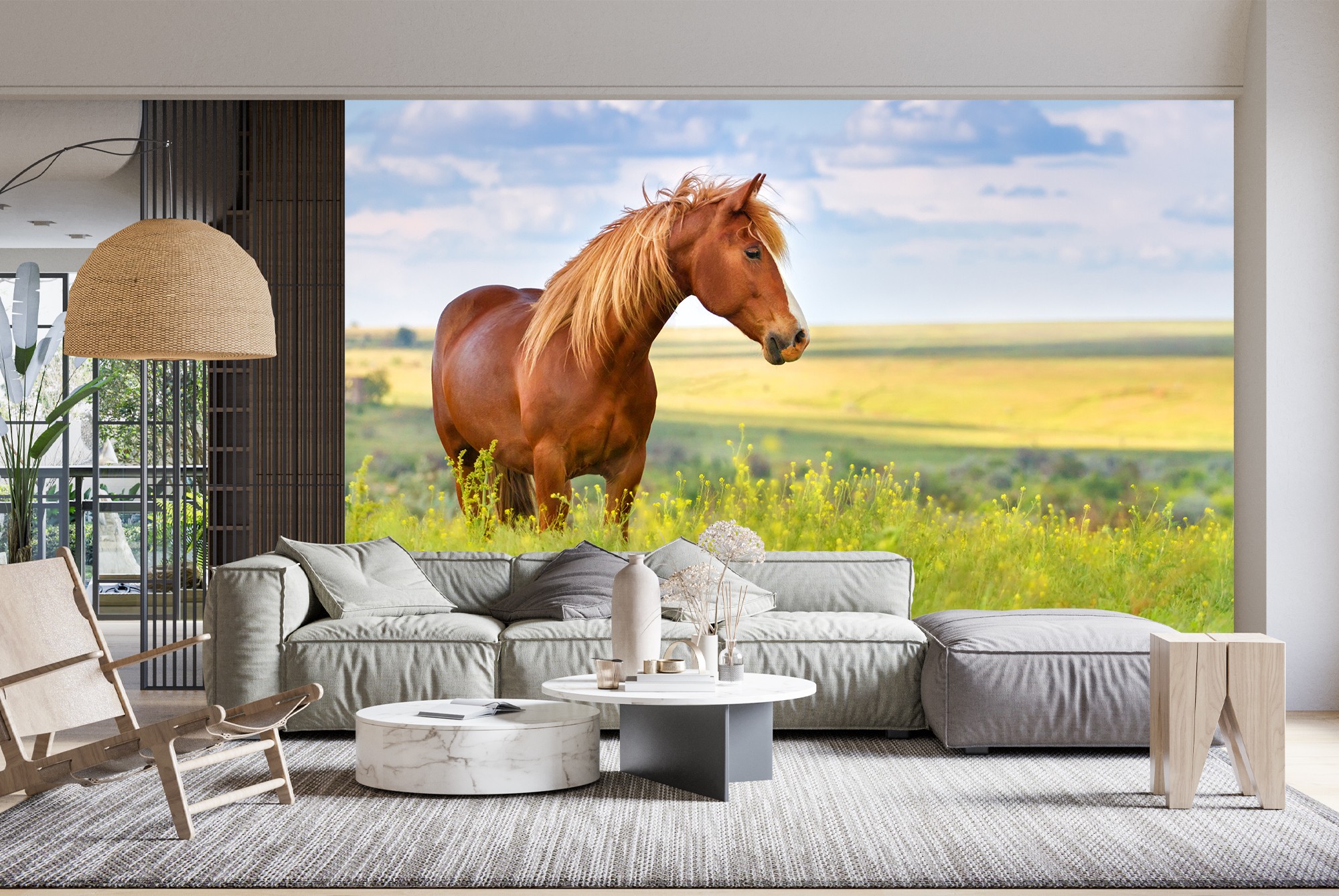 Country Horse Wallpaper Wall Mural
