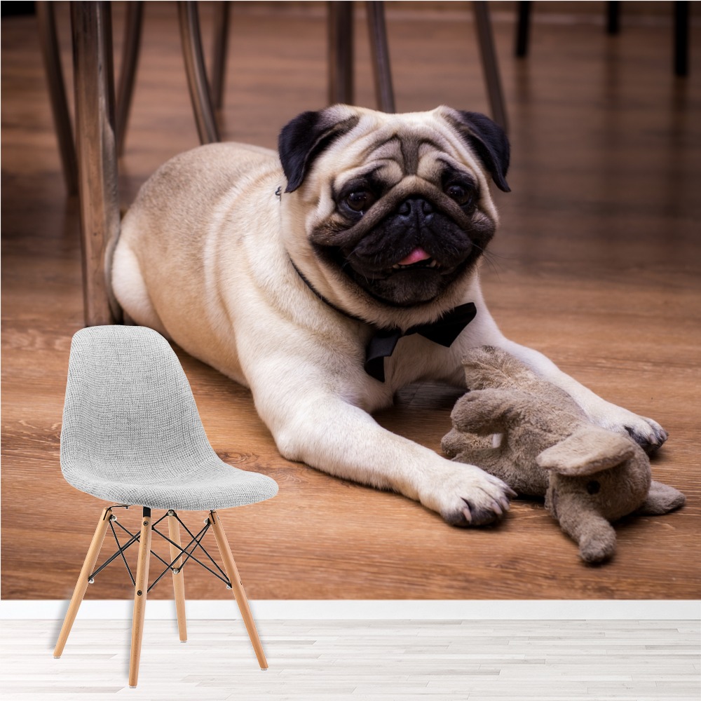 Pug Dog Wallpaper Wall Mural