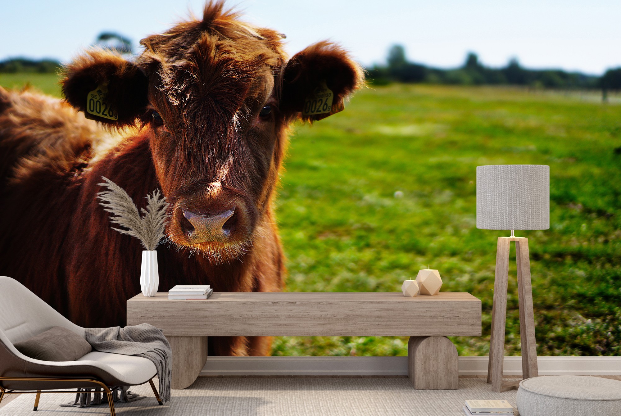 Brown Cow Farm Cattle Wallpaper Wall Mural