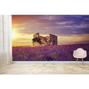 Lavender Field Purple Sunset Wallpaper Wall Mural