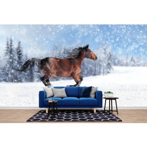 Horse In White Winter Wallpaper Wall Mural