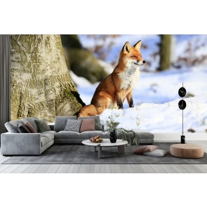 Red Fox In White Winter Woods Wallpaper Wall Mural