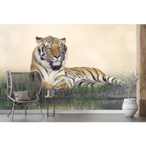 Resting Male Tiger Wallpaper Wall Mural